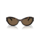 Michael Kors Brown Acetate Sunglasses